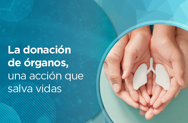 02 ARTICULO DONACION.png